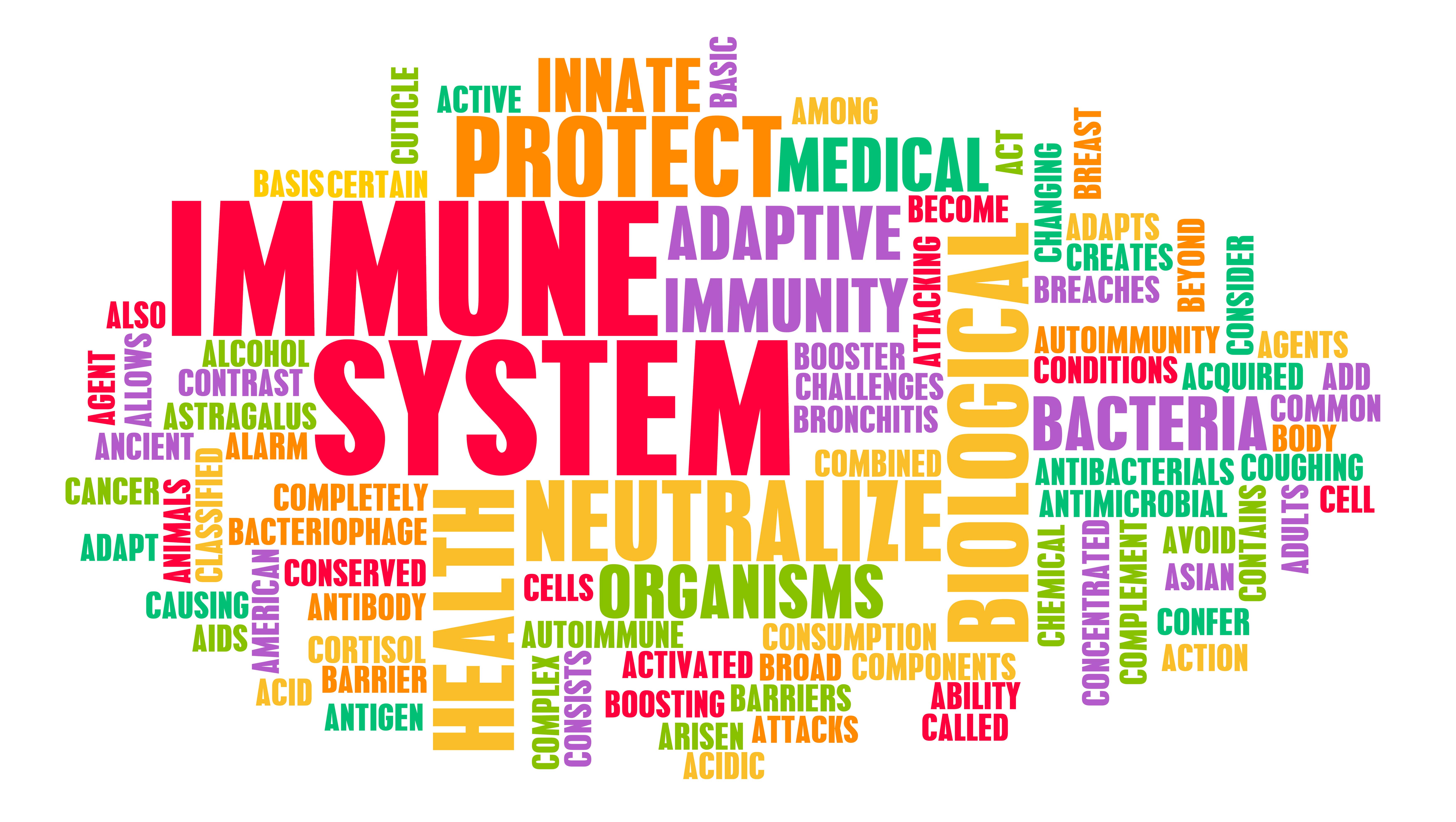 how-drugs-and-alcohol-affect-the-immune-system-serenity-at-summit