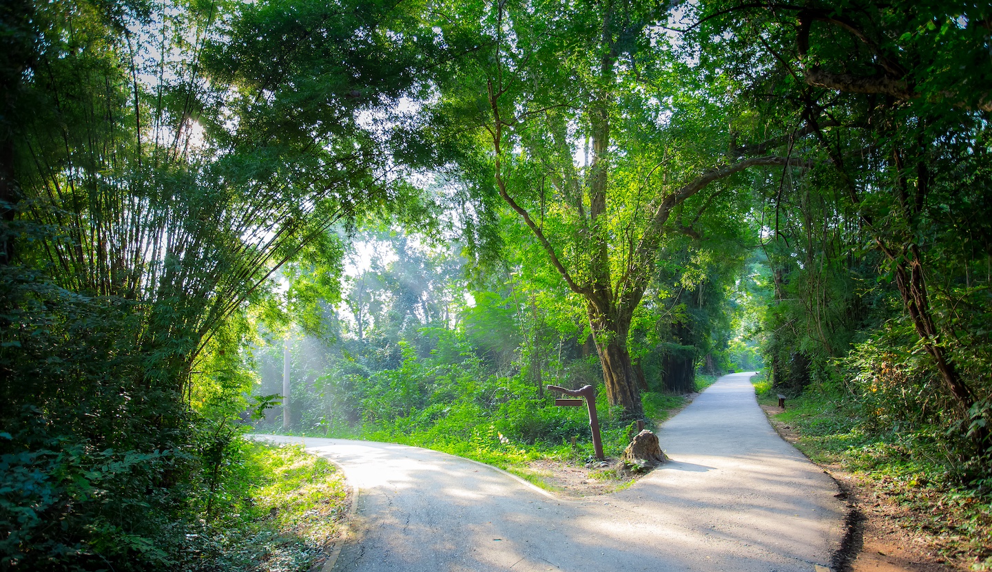 Choosing the Right Path in Treatment