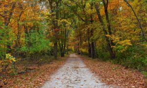 Why Fall Can Be the Perfect Season to Start Rehab
